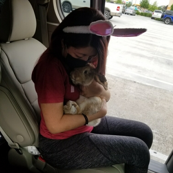 Bags, twillies, scarves, clothes, shoes, jackets, etc. - Picture 15 of 16